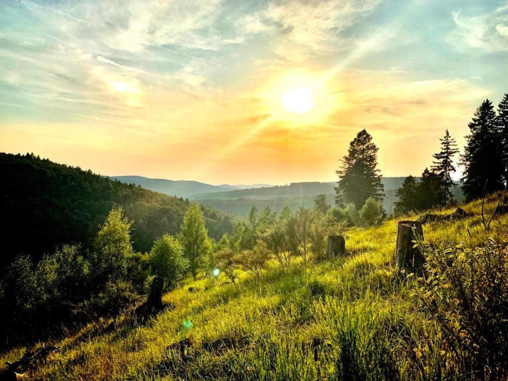 Stilvolle Wohnung Mit Blick Und Selbst-Check-In Бад-Берлебург Экстерьер фото